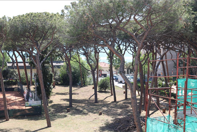 Follonica fronte pineta ponente 100 MT dal mare