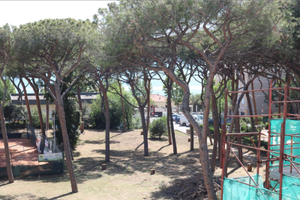 Follonica fronte pineta ponente 100 MT dal mare