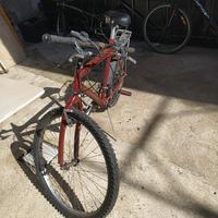 Bicicletta Mountain Bike 