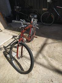 Bicicletta Mountain Bike 