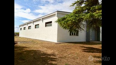 Capannoni artigianali/industriali