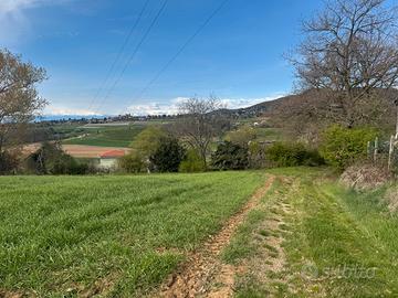 Terreno agricolo