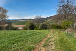 Terreno agricolo