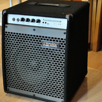 AMPLI PER BASSO WARWICK 40W(+basso jazz EKO)