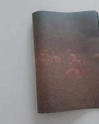 "Uno", Simona Ghizzoni - fanzine fotografica