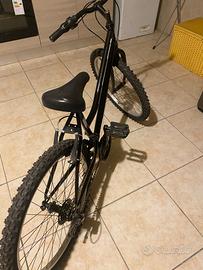 Bici montebike