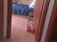 Immagine 14