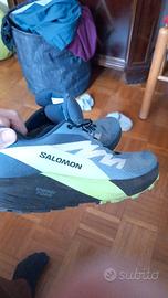 Solomon Sense Ride 5 Goretex - scarpe da trail run