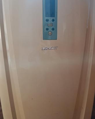 climatizzatori portatili