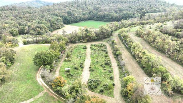 Terreno a Villaga (VI) - Pozzolo