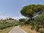 Immagine 18