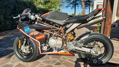 Ohvale GP-2 RACE 2024 con 28 ore
