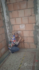 Electricista e idraulico o assistente