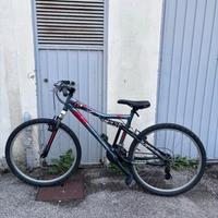 Mountain bike