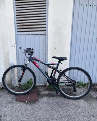 Mountain bike