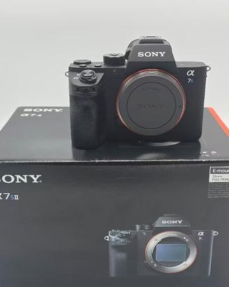 SONY A7Sii + SONY 28-60 -SCATTI 5623-
