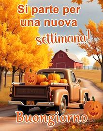 minicar grecav eke 