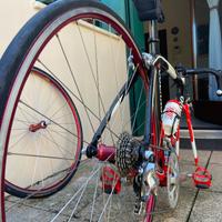 Bicicletta Colnago corsa