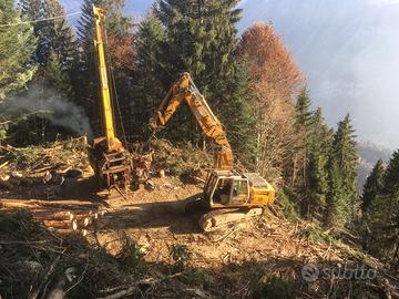 Processore forestale