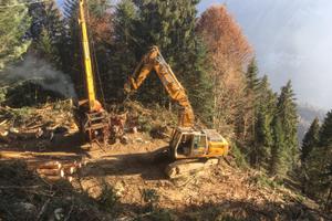 Processore forestale