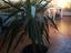 Immagine 4