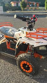 Quad elettrico