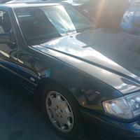 Mercedes-benz SL 300 SL-24 cat