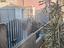 Immagine 7