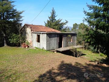 R.1738 Valeriano rustico + terreno