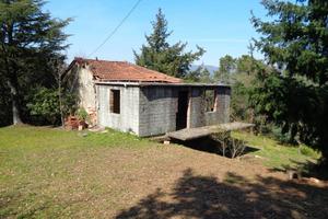 R.1738 Valeriano rustico + terreno