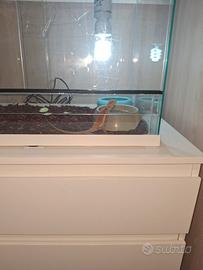terrario