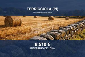 Immobile in asta di 4730 m² a Terricciola