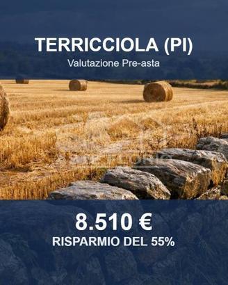 Immobile in asta di 4730 m² a Terricciola