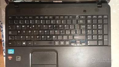 Toshiba Satellite C855-273 4 GB RAM  - GPU guasta