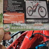 Raymon Trail Ray E 10.0