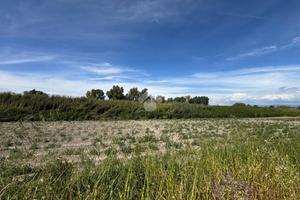 TER. AGRICOLO A CASALUCE