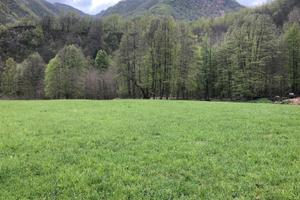 Terreno per apicultura