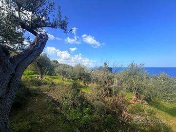 TER. RESIDENZIALE A TERMINI IMERESE