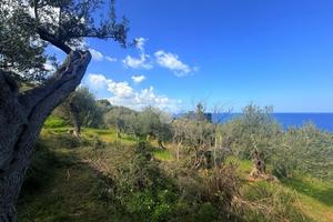 TER. RESIDENZIALE A TERMINI IMERESE