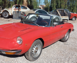Alfa romeo spider