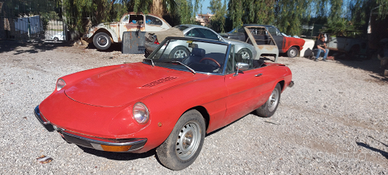Alfa romeo spider
