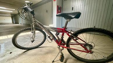 Bicicletta ragazzo