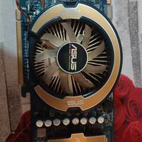 scheda video asus