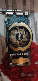 scheda video asus