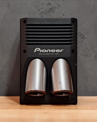 SUBWOOFER ATTIVO PIONEER TS-WX206A 8"