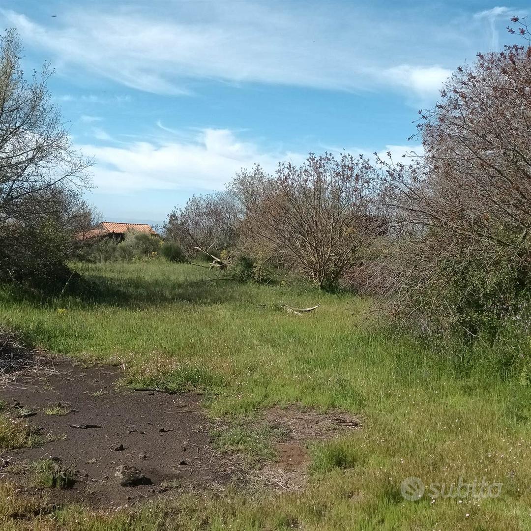 Rif.FF41| terreno agricolo belpasso - Vista 5