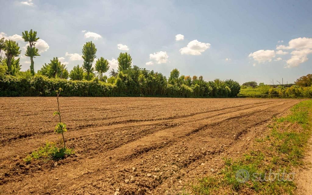 Terreno di 24118 m² a Roma - Vista 4