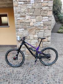 Canyon Torque CF 8 2020
