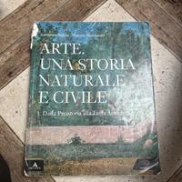 Arte una storia naturale e civile