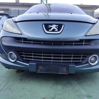 Paraurti anteriore PEUGEOT 207 del 2007